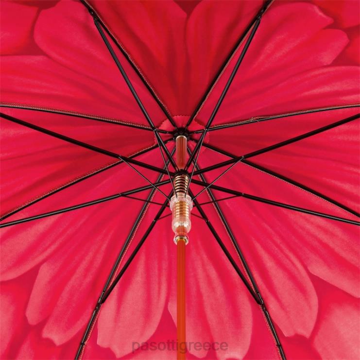 ομπρέλα | PASOTTI 460 21065-21 p - ομπρέλα με κόκκινη ντάλια 2N6B8364 γυναίκες